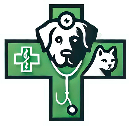 Clinica Veterinaria